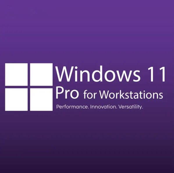 Win 10/11 Pro For Workstation Dual User Activation Ideal For Advanced Computing