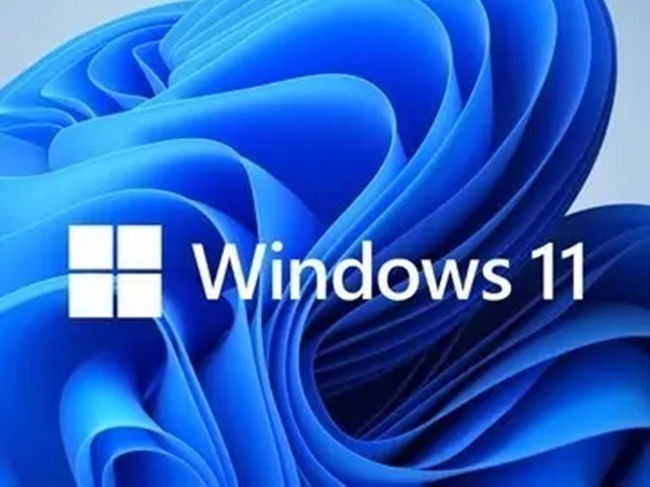 Windows 11 Professional optimized for business environments providing secure authentication and improved productivity tools