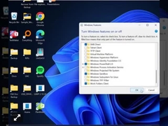 Παράθυρα 11 επαγγελματικό κλειδί