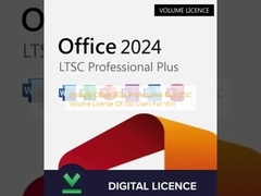 Παγκόσμια Άδεια Χρήσης Όγκου Office 2024 Professional Plus LTSC για 100 Χρήστες για Windows